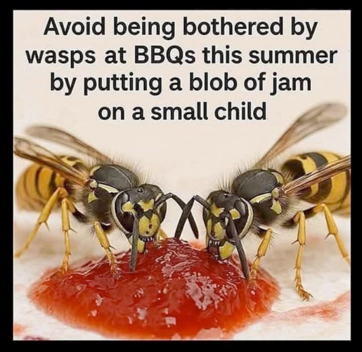 1768517983888.png