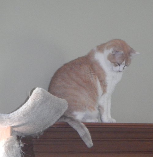 DSCN8040.JPG