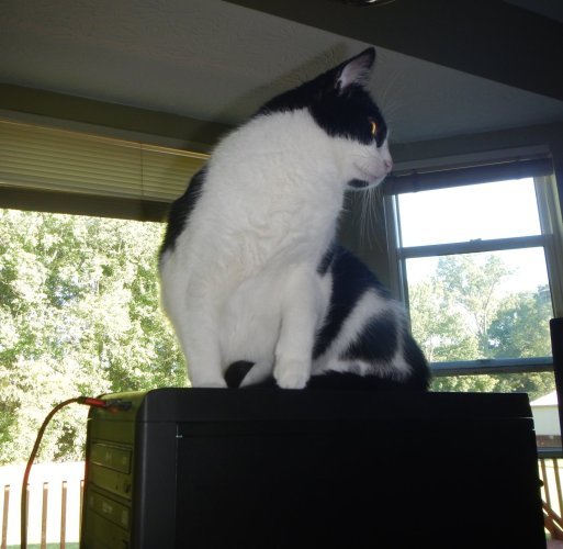 DSCN8278.JPG