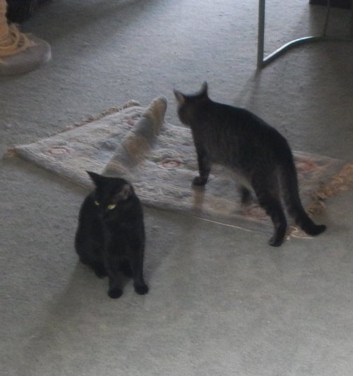 DSCN8217.JPG