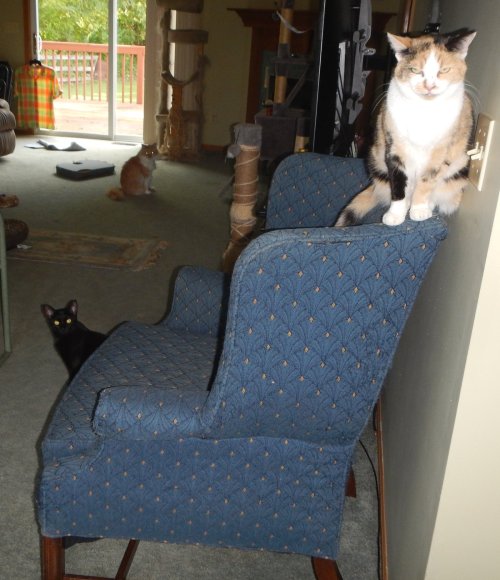 DSCN8291.JPG