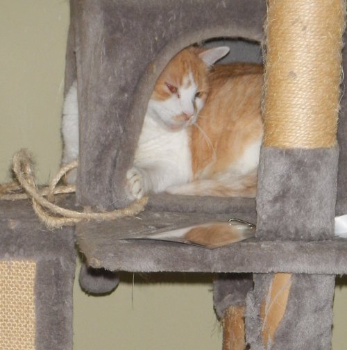 DSCN8280.JPG