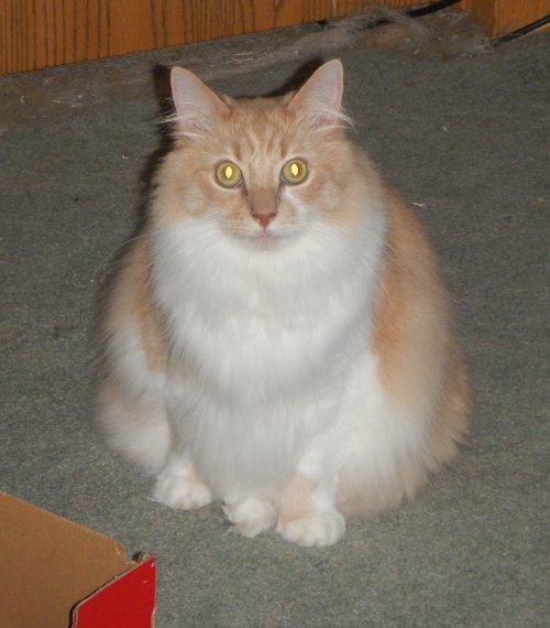 DSCN8318.JPG